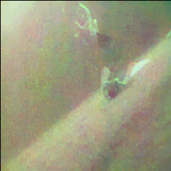 UPLight sample 2 FISTA