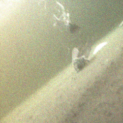 UPLight sample 2 ground truth